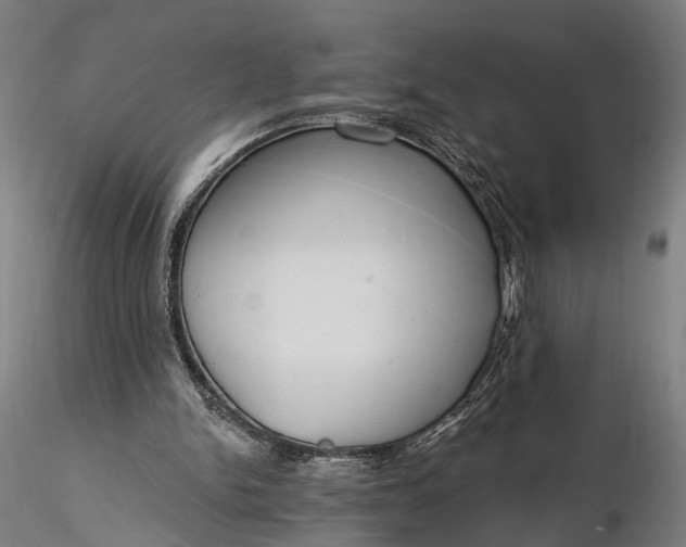 X0000116110150200912071330