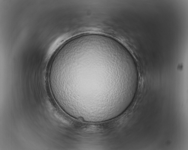 X0000116110151200912071330