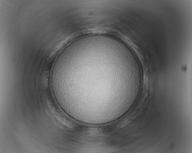 X0000116110153200912071330