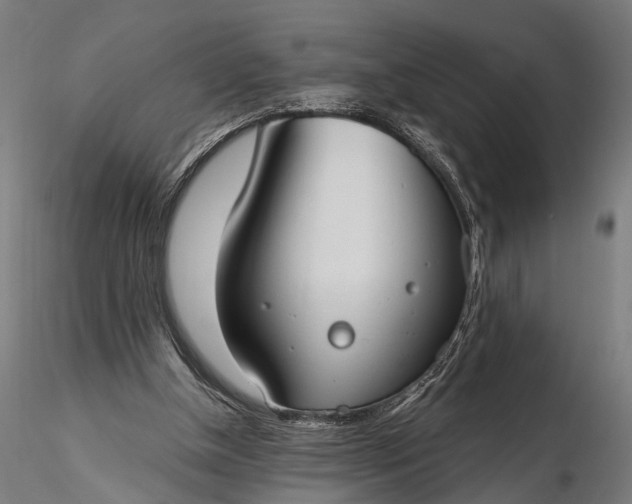 X0000116110154200912071330