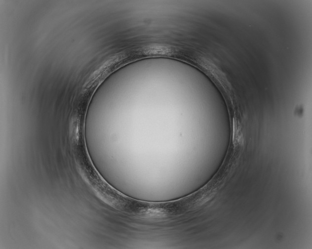 X0000116110157200912071330