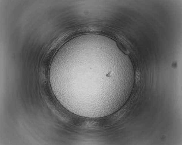 X0000116110158200912071330