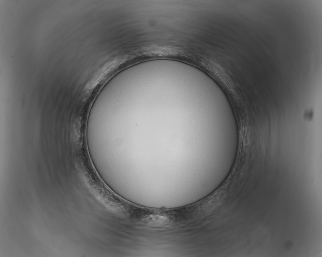 X0000116110159200912071330