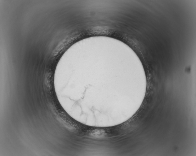 X0000116110162200912071331