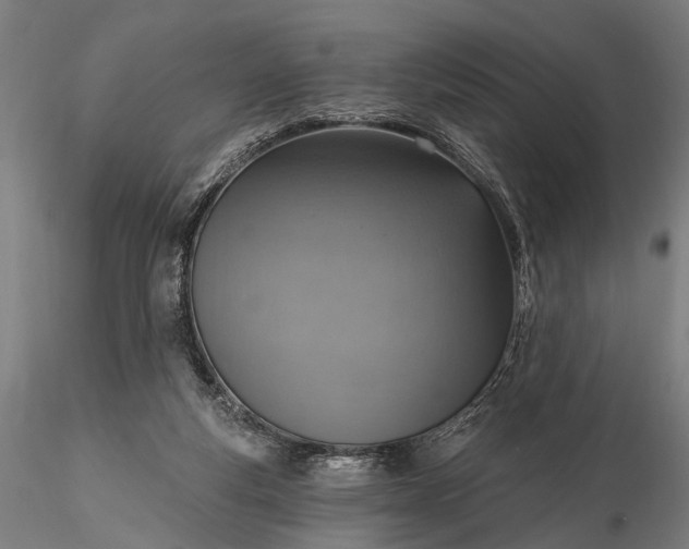 X0000116110163200912071331