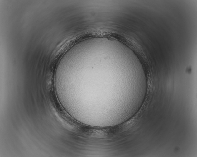 X0000116110166200912071331