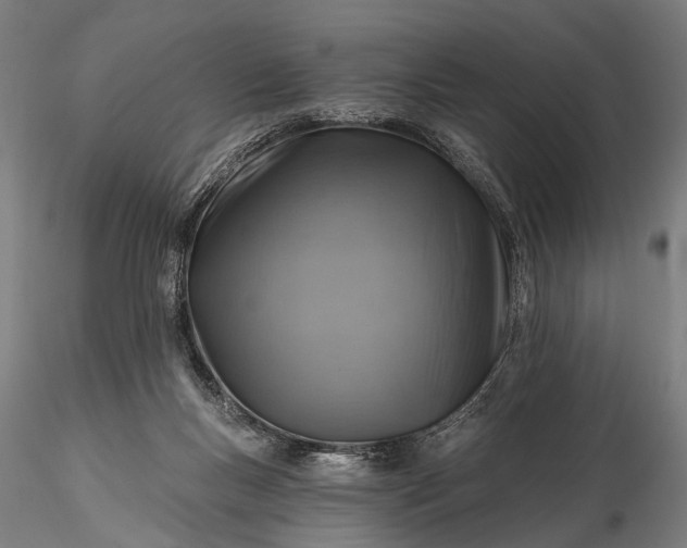 X0000116110167200912071331