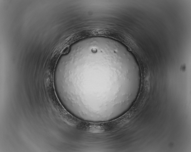 X0000116110169200912071331