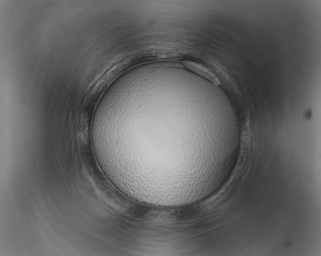 X0000116110170200912071331