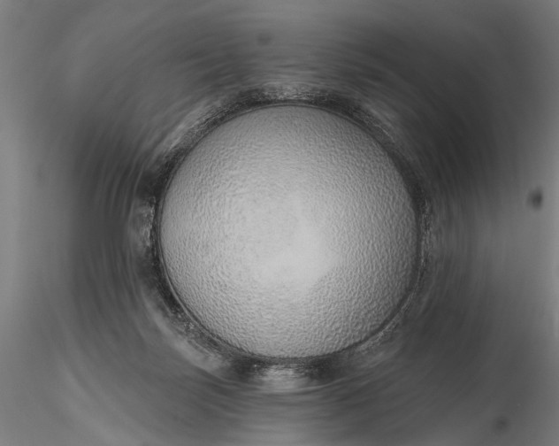 X0000116110171200912071331