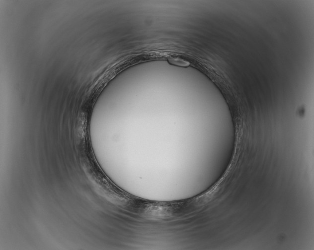 X0000116110174200912071331