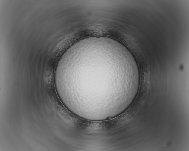 X0000116110177200912071331