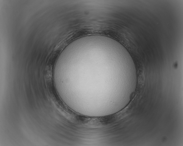 X0000116110179200912071331