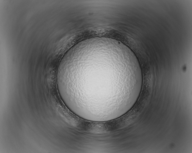 X0000116110181200912071331