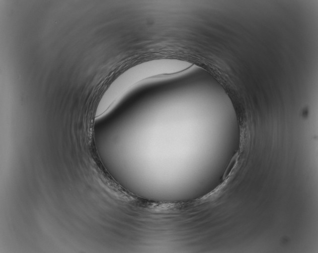 X0000116110186200912071331