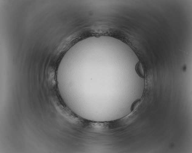 X0000116110187200912071331