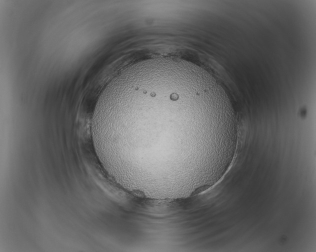 X0000116110191200912071331