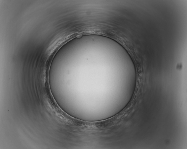 X0000116110194200912071330