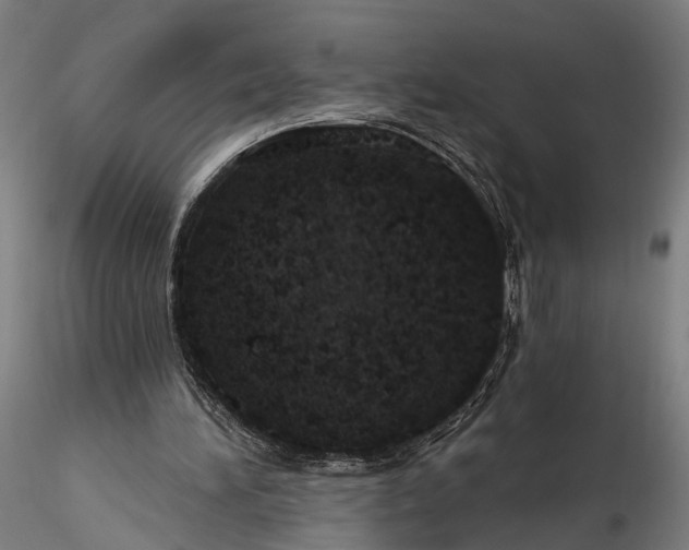 X0000116110196200912071330