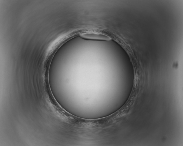 X0000116110197200912071330