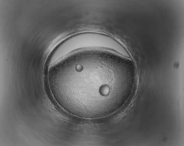 X0000116110199200912071330