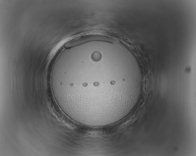 X0000116110200200912071330