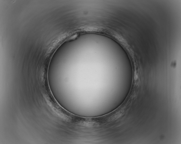 X0000116110201200912071330