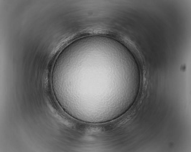 X0000116110202200912071330