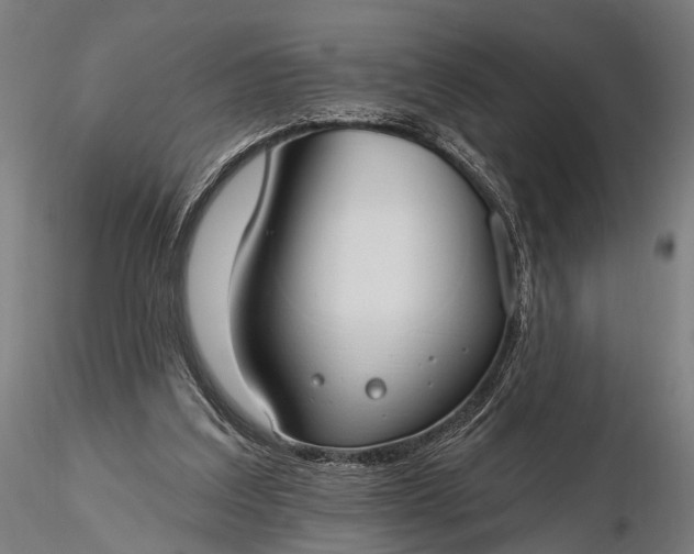 X0000116110203200912071330