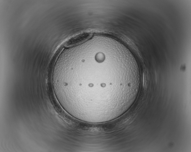 X0000116110204200912071330