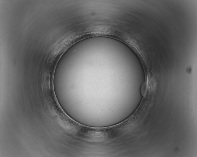 X0000116110205200912071330