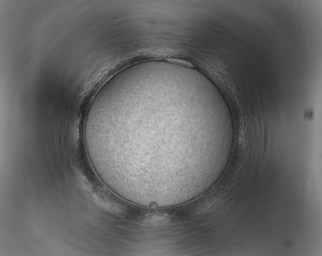 X0000116110206200912071330