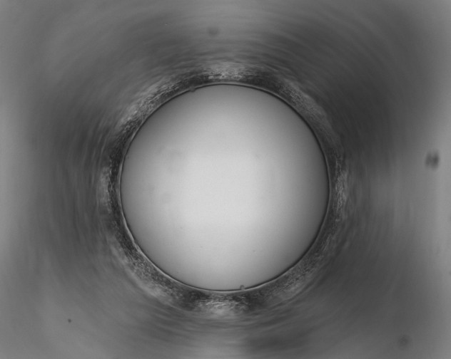 X0000116110209200912071330