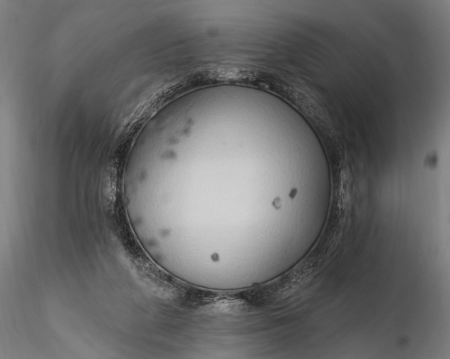 X0000116110210200912071330