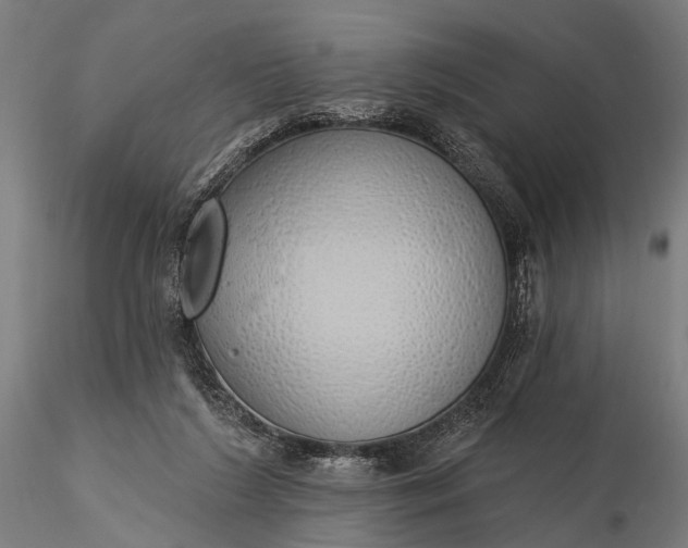 X0000116110212200912071330