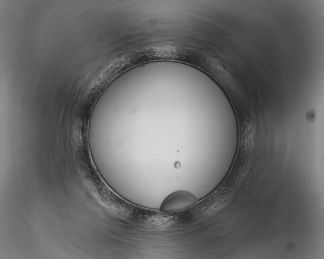 X0000116110213200912071330