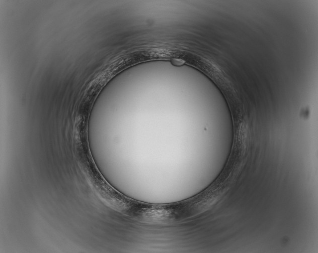 X0000116110217200912071330