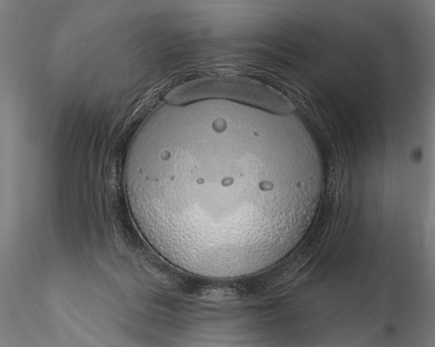 X0000116110220200912071330