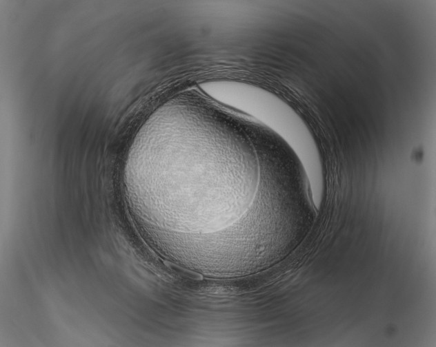 X0000116110221200912071330