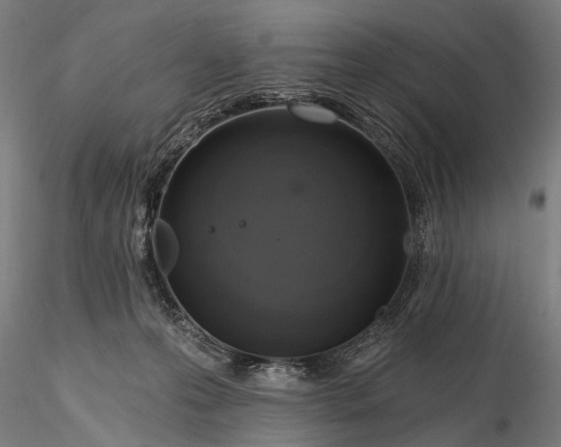 X0000116110223200912071330