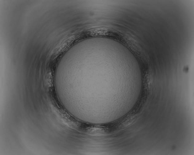 X0000116110224200912071330