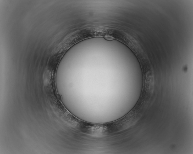 X0000116110225200912071330