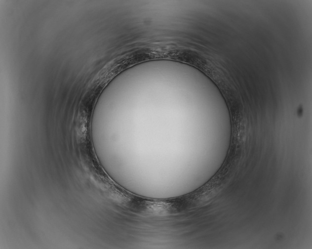 X0000116110226200912071330