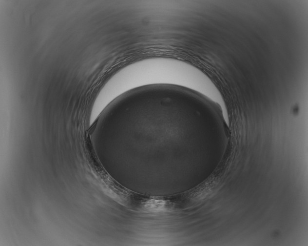 X0000116110227200912071330