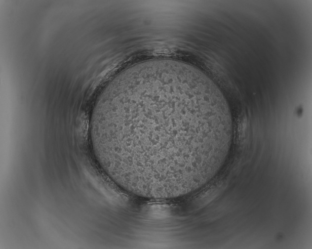 X0000116110228200912071330