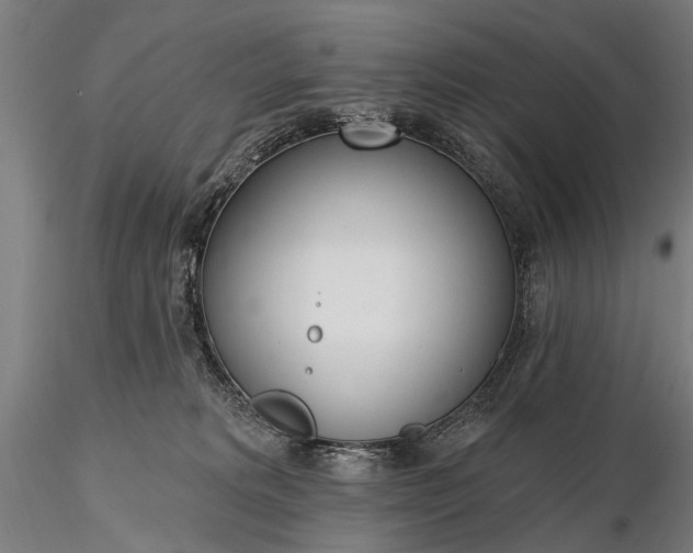 X0000116110229200912071330