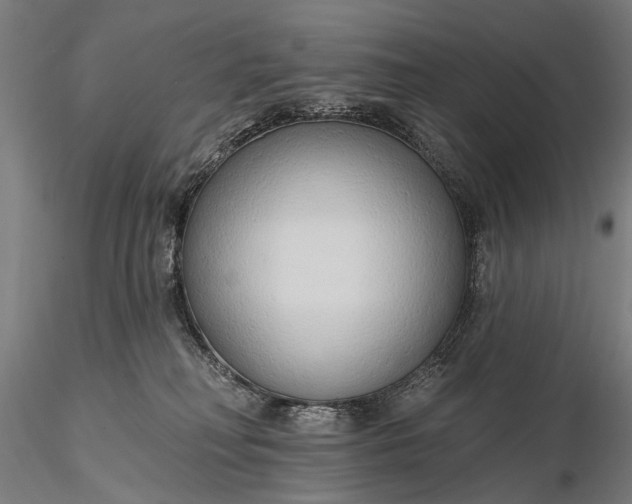 X0000116110230200912071330