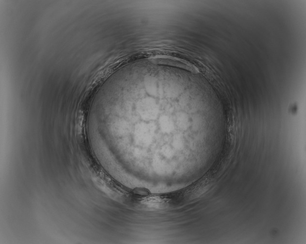 X0000116110231200912071330