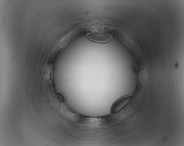 X0000116110233200912071330