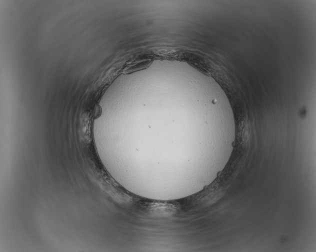 X0000116110234200912071330